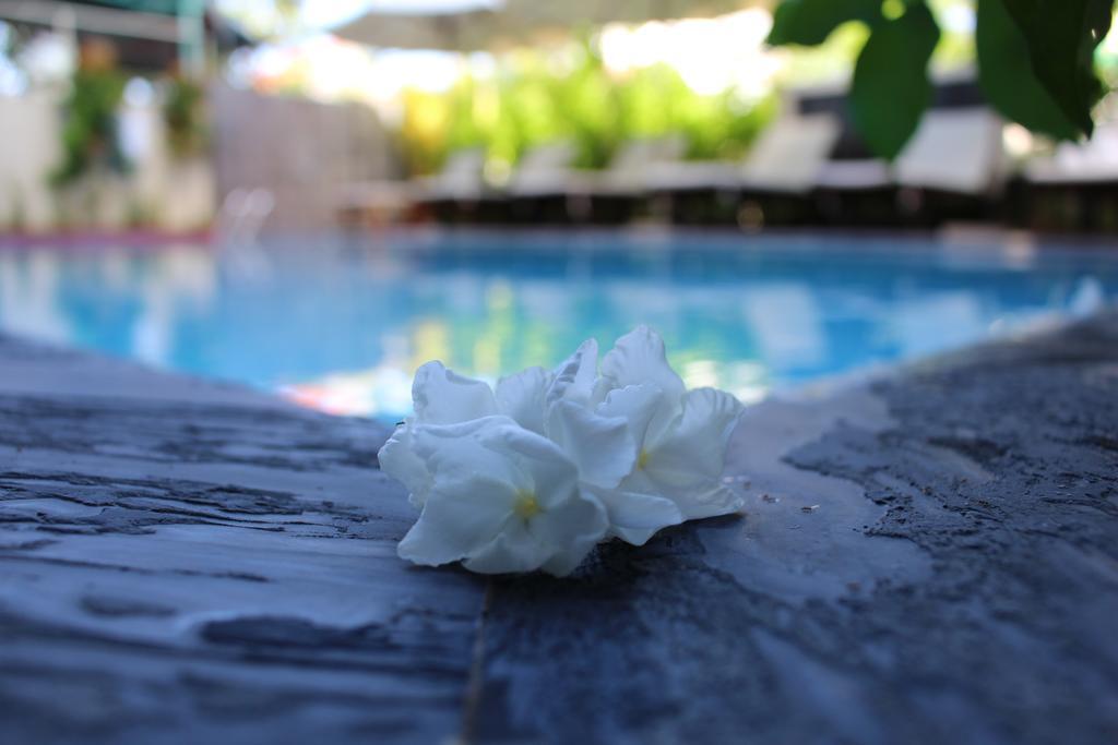 Phuc Thao Villa Hoi An Eksteriør billede
